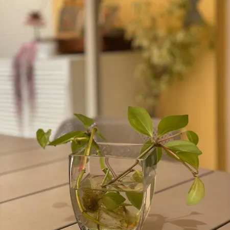 Dreams Apartment Faro